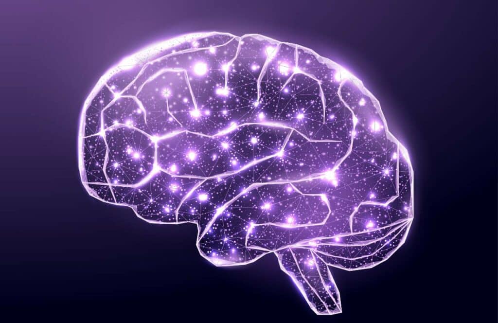 A dark purple background with a brightly lit human shaped brain in the forefront.