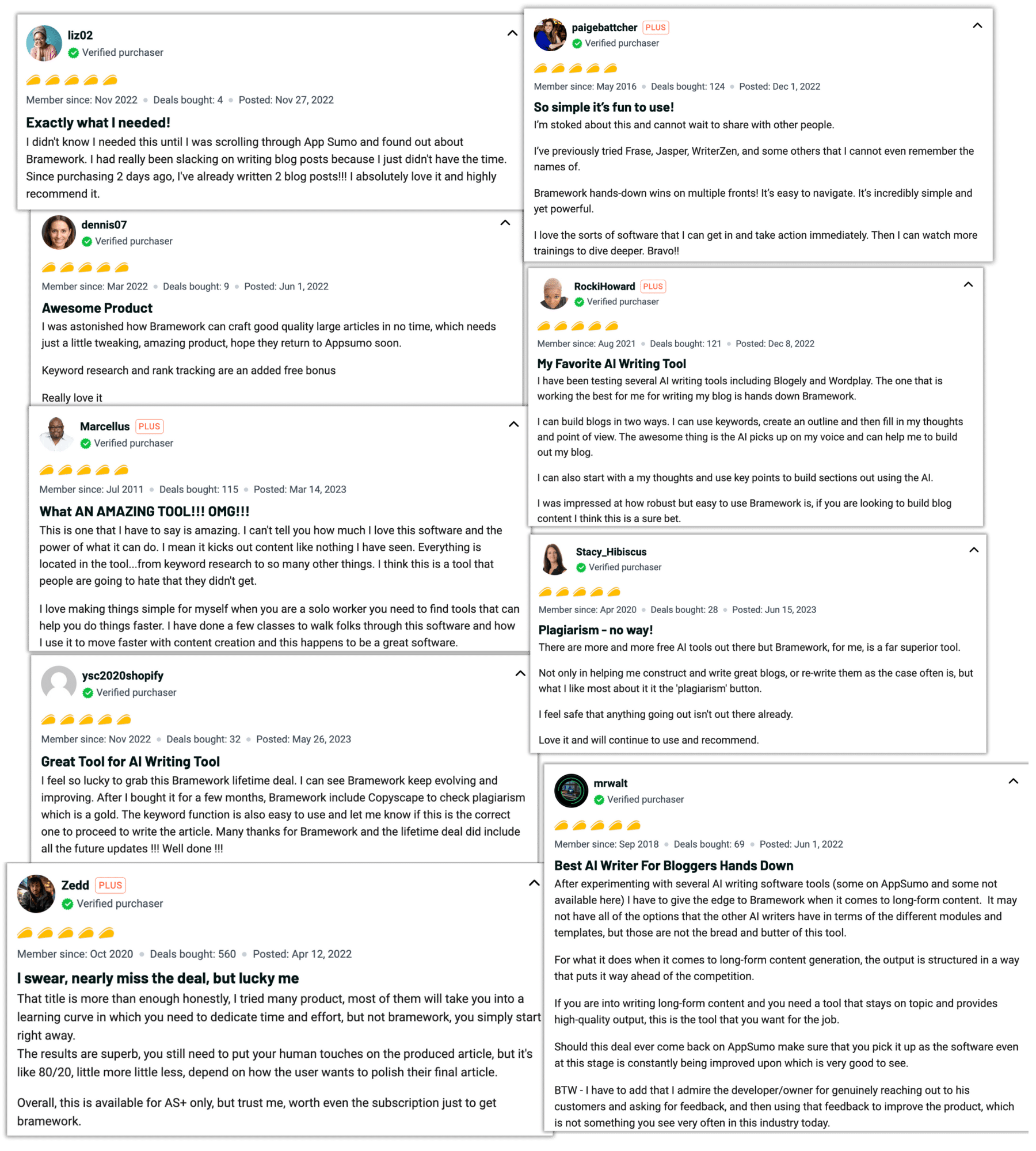 Bramework AppSumo customer reviews